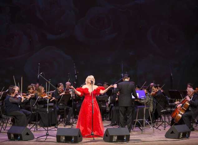 Заслуженная артистка России Елена Сафронова записала видеообращение к зрителям