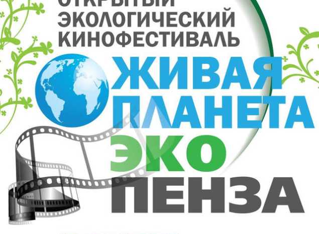 Приглашаем на Третий открытый экологический кинофестиваль «Живая планета. Эко-Пенза»!