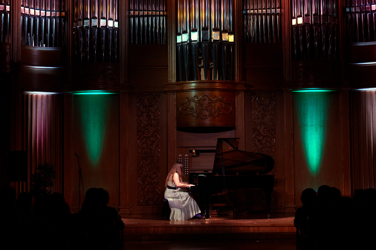 Филармонию охватила «Листомания» Филармонию охватила «Листомания»