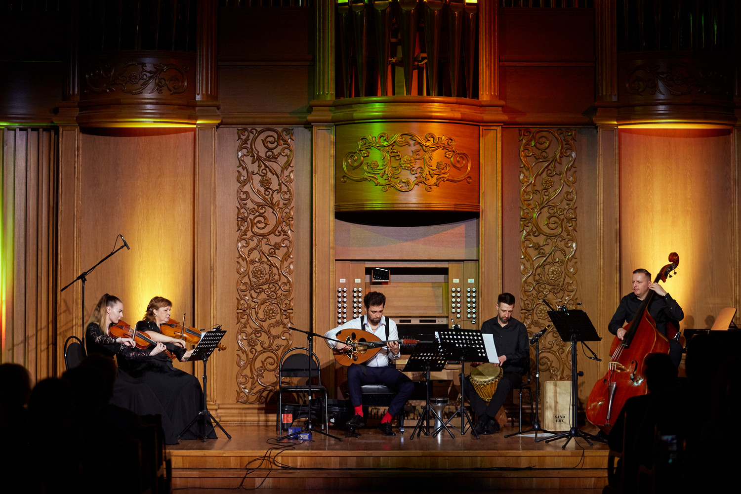 В Пензе впервые прозвучал арабский уд В Пензе впервые прозвучал арабский уд