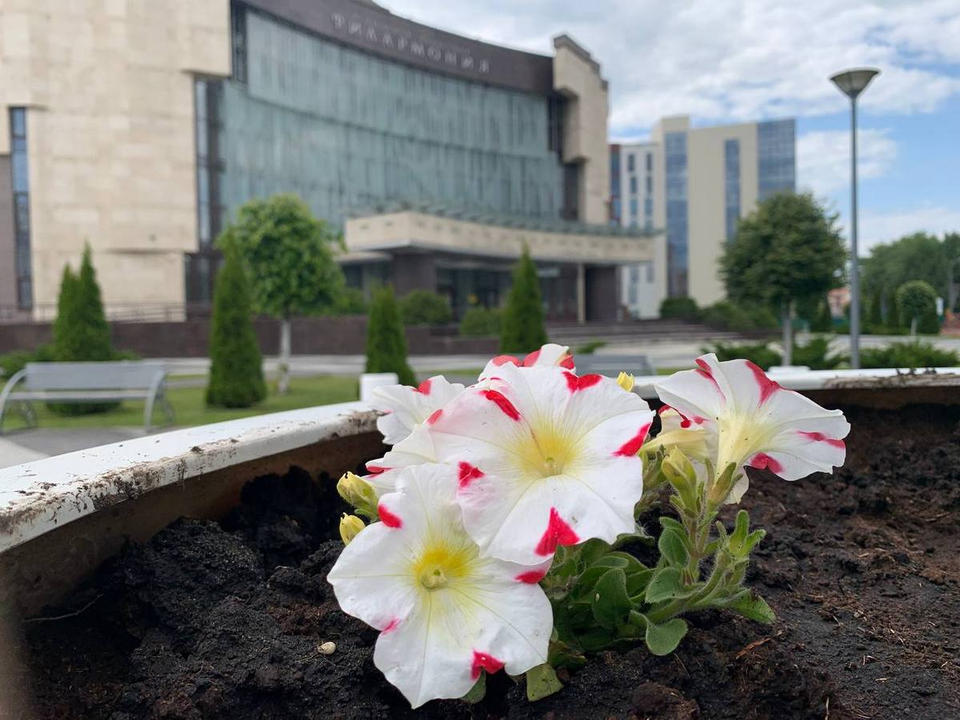 Благоустройство территории «Пензаконцерта» продолжается Благоустройство территории «Пензаконцерта» продолжается