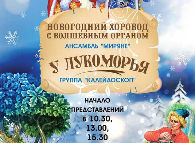 Приглашаем на Новогодние представления!