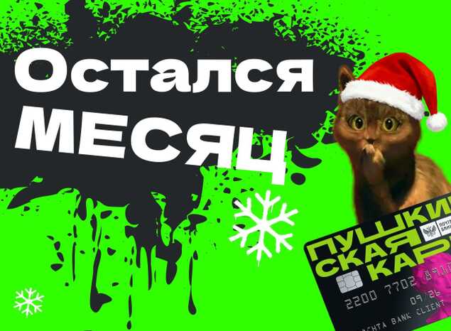 Остался месяц, чтобы потратить оставшиеся деньги на Пушке