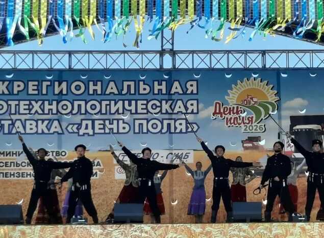 Творческие коллективы «Пензаконцерта» выступили на «Дне поля»